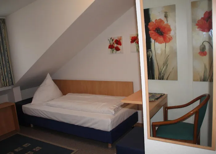 Riesenjunior By Trip 3*