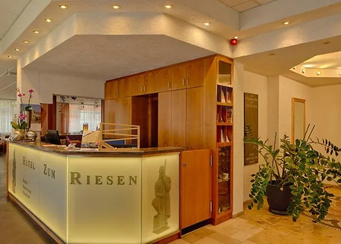 Riesenjunior By Trip 3* 美茵河畔哈瑙